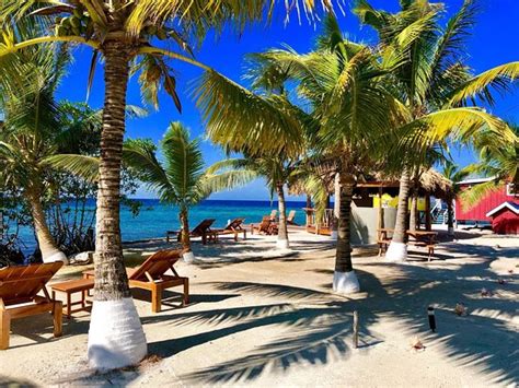 tarpon caye|tarpon caye resort belize.